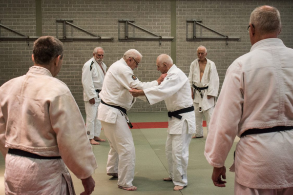Martial arts for seniors: Healthy and social