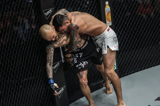 Die Gewinnstrategie hinter MMA-Cage-Control