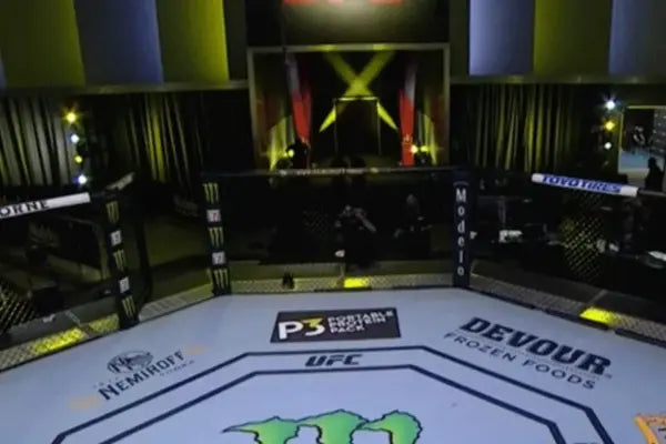 Vechtsport in videogames: Hoe realistisch zijn de technieken in games zoals UFC en Tekken?