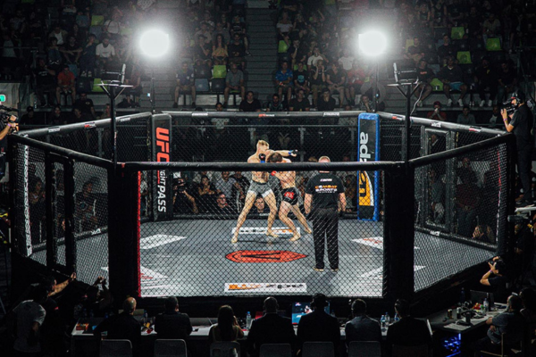 MMA rules: From chaos to discipline