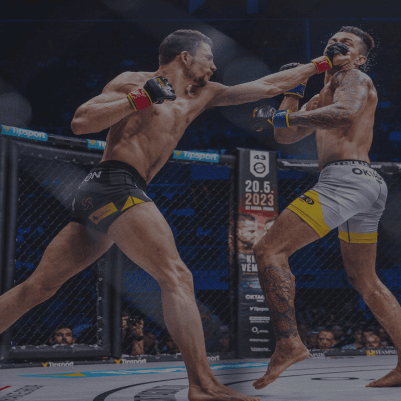 Twee mannelijke vechters in een MMA-kooi, één ontvangt een hoge trap in het gezicht.