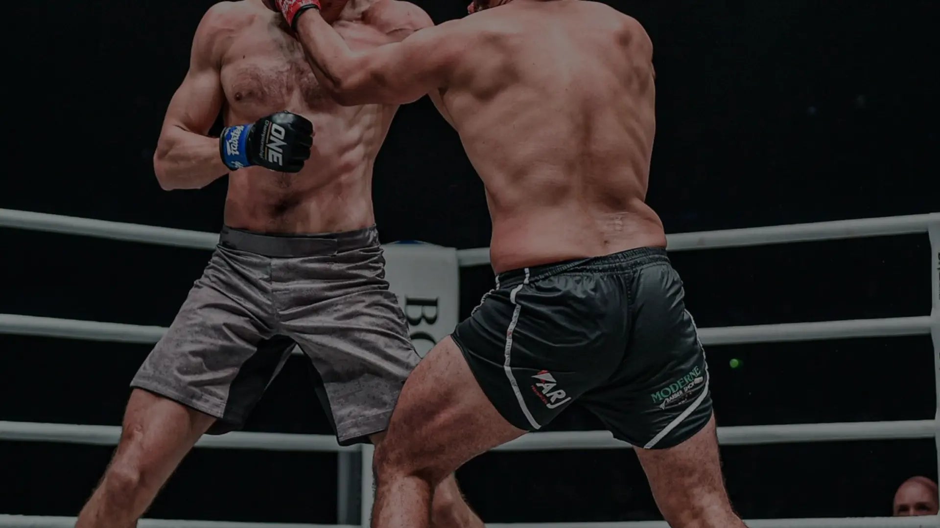 Een gespierde MMA-vechter in actie binnen een octagon, gekleed in zwarte shorts met het Fairtex-logo, werpt een krachtige stoot naar zijn tegenstander tijdens een gevecht.