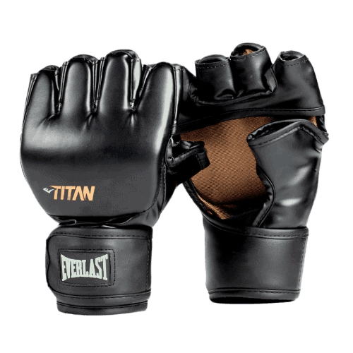 Een set Everlast MMA handschoenen Titan Zwart, compleet weergegeven, ideaal voor intensieve vechtsporttrainingen.