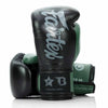 Fairtex Boxing Gloves FXB V2 Green