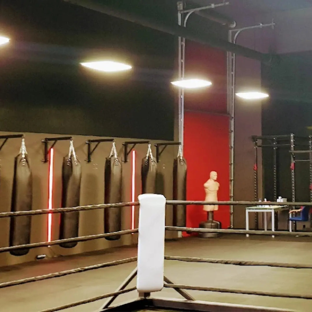 Vechtsportschool met ring en meerdere bokszakken opgesteld voor training
