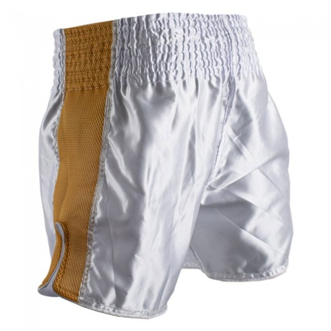 Achteraanzicht van het Super Pro Brave kickboksbroekje in zilver met gouden meshpanelen. De elastische tailleband zorgt voor een stevige en comfortabele pasvorm. De split aan de zijkant biedt extra bewegingsvrijheid. Ideaal voor kickboksers die maximale flexibiliteit willen.
