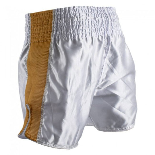 Achteraanzicht van het Super Pro Brave kickboksbroekje in zilver met gouden meshpanelen. De elastische tailleband zorgt voor een stevige en comfortabele pasvorm. De split aan de zijkant biedt extra bewegingsvrijheid. Ideaal voor kickboksers die maximale flexibiliteit willen.