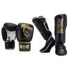 Super Pro Kickboxing Set Warrior Gold